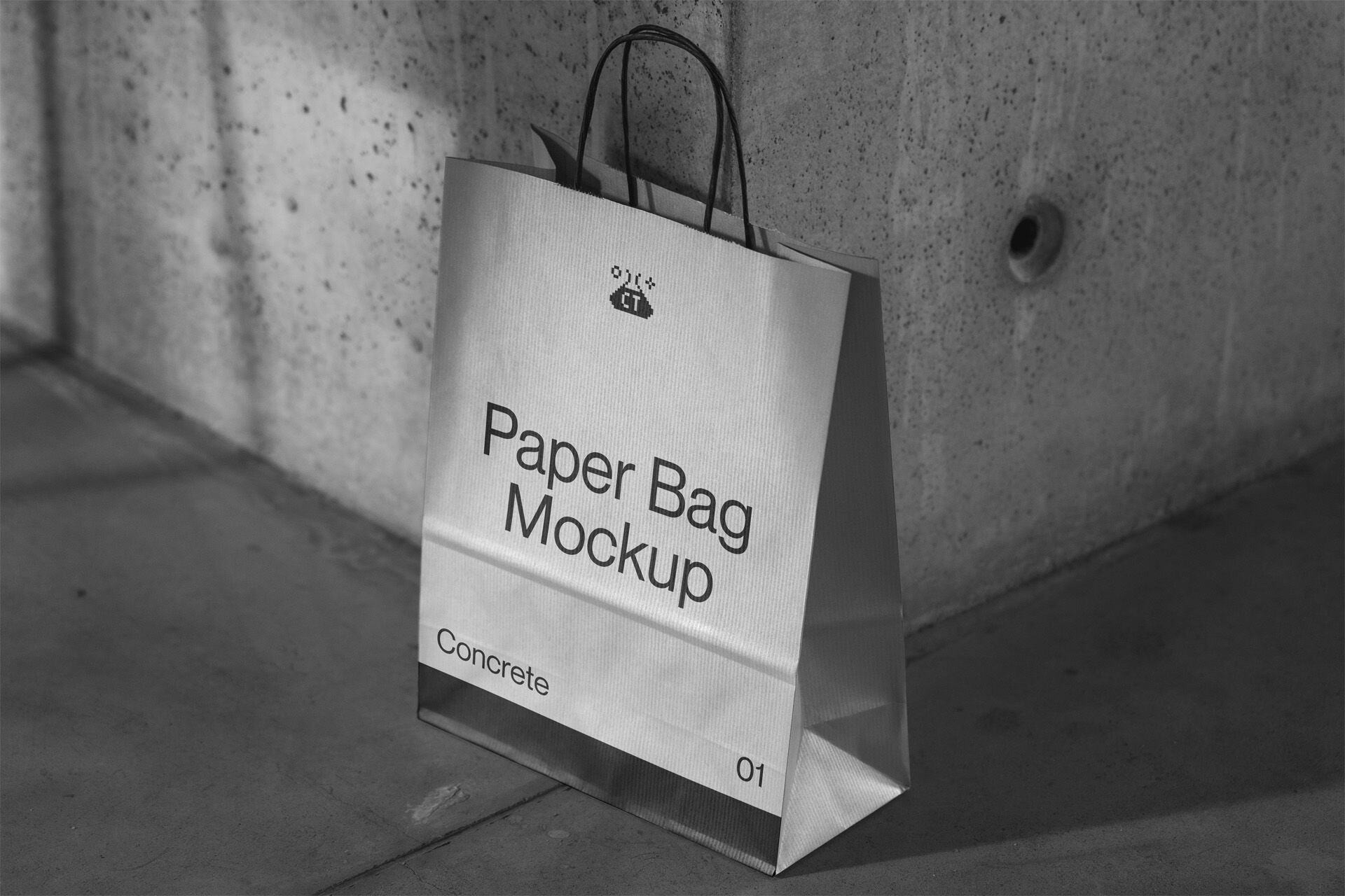 Paper Bag CNC 01 None